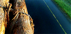 http://reho.st/gif/f3a2945b48b7882c80f3e013d6569c1d737999f1.gif