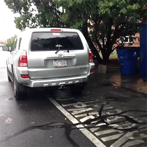 http://reho.st/gif/f3e8815f7614519a00d42c34ddf69e220af2306c.gif