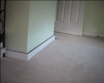 http://reho.st/gif/f4b4c2fe6fb50ab38d4928648ae7a417da14a266.gif