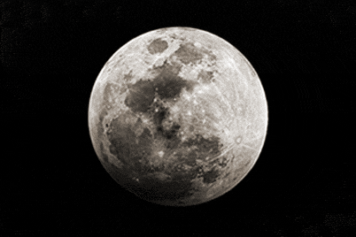 http://reho.st/gif/f787707738b2b09630a00383edf7cd9f2d7408b8.gif