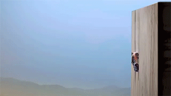 http://reho.st/gif/f7f87eca3b72cc3eea5f2d96e8ddb5fc2ecff4bb.gif