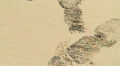 http://reho.st/gif/fd793185be30ddd8f4472c1cd0068fbb5e8d6201.gif