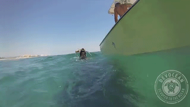 http://reho.st/gif/fda0479b67c1ce4e22dbaf0bbbe57a43b705fa65.gif