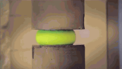 http://reho.st/gif/fdc6e3eab4d4bebcb3fb7244e4fcacef20c2c47b.gif