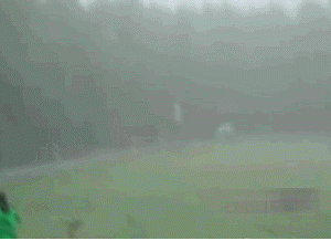 http://reho.st/gif/fff114d2fd03511a69ce0cb3ae63e26d82d56326.gif