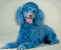 http://reho.st/hfr.toyonos.info/smileys/generate/tmp/c9a8f391af0ac76198e954a06e4dee88.smiley.png?foo=1543167296860