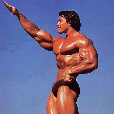 http://reho.st/hotlineoncall.nationaljournal.com/arnold-schwarzenegger.jpg