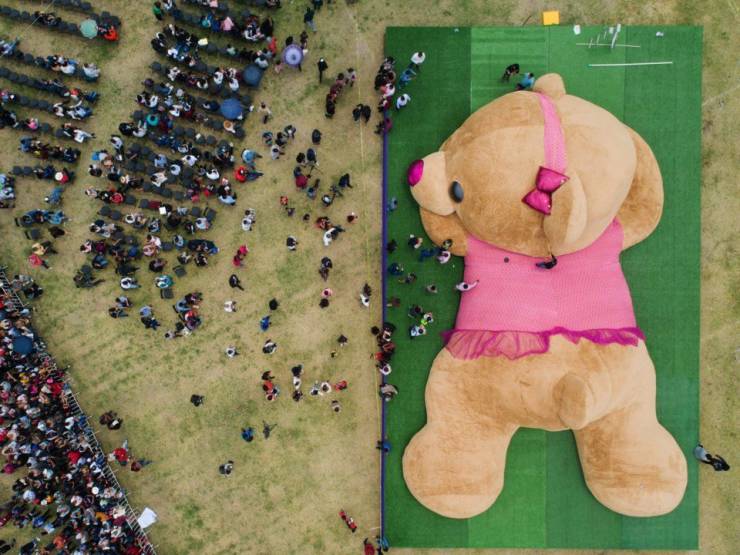 http://reho.st/https://img.izismile.com/img/img12/20190904/640/2019_has_some_really_crazy_guinness_world_records_under_its_belt_640_27.jpg