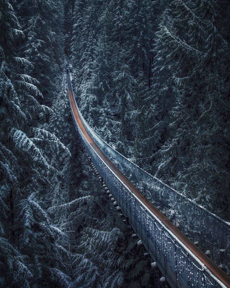 http://reho.st/https://img.izismile.com/img/img12/20191108/640/daily_picdump_3269_640_high_47.jpg