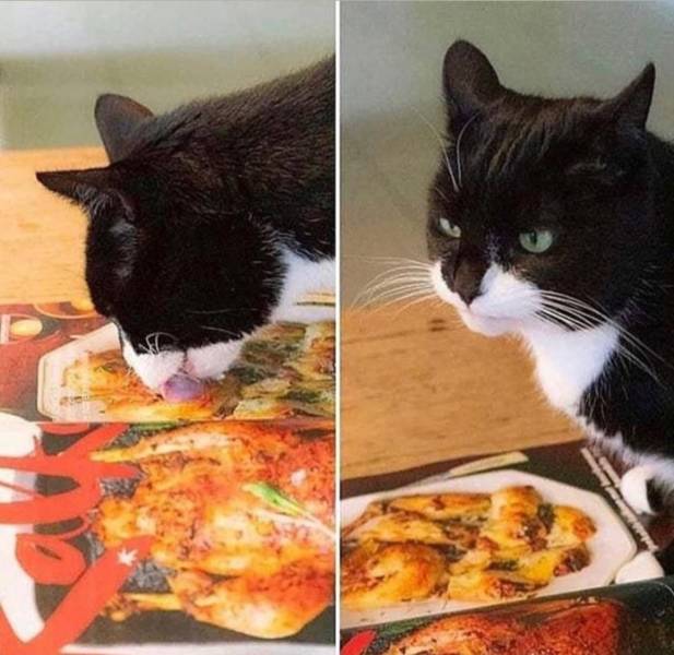 http://reho.st/https://img.izismile.com/img/img12/20191231/640/daily_picdump_3318_640_02.jpg