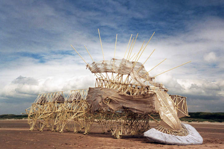 http://reho.st/https://inhabitat.com/wp-content/blogs.dir/1/files/2014/08/Strandbeest-with-Sail.jpg
