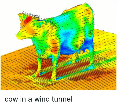 http://reho.st/https://pics.me.me/cow-in-a-wind-tunnel-2807303.png