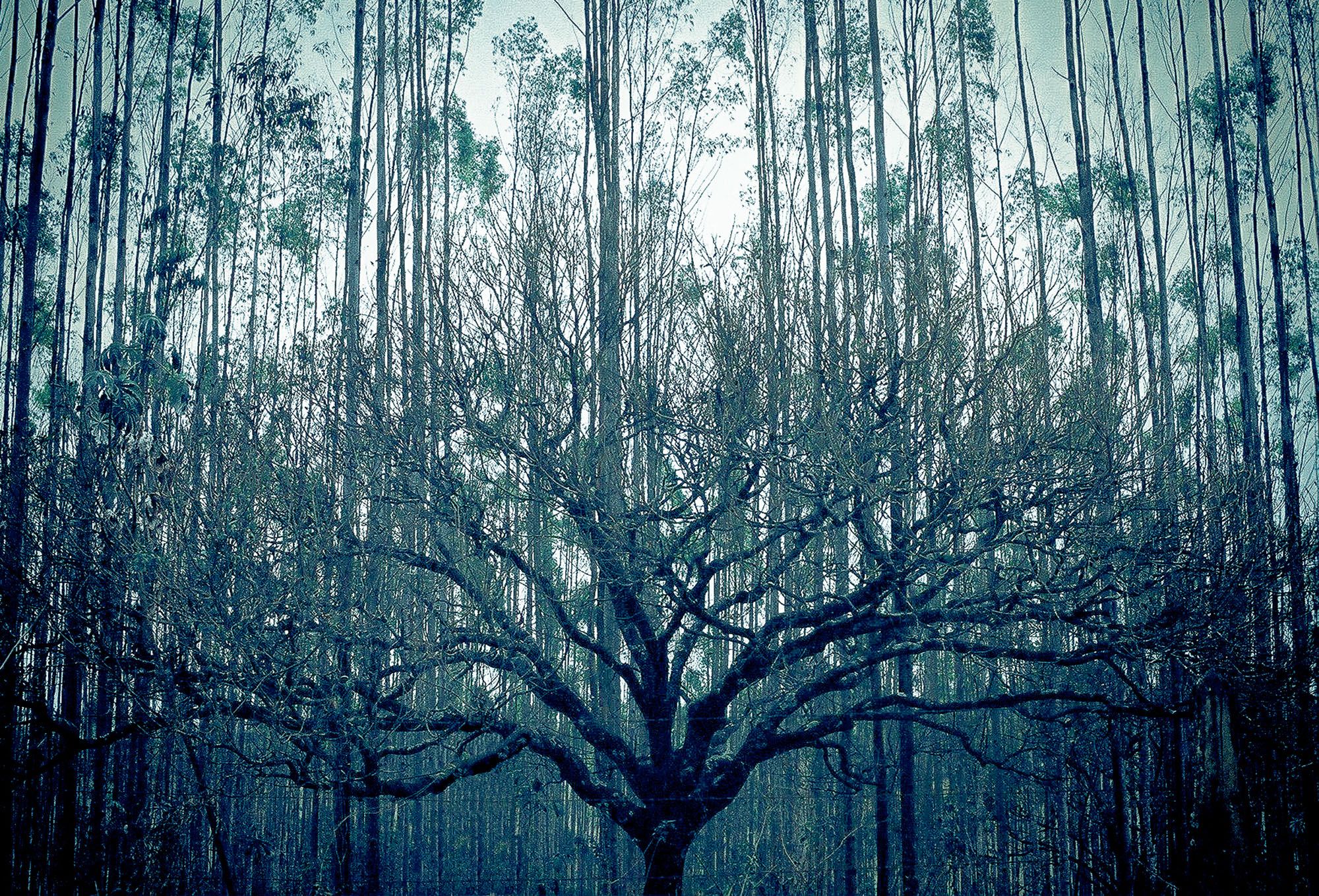 http://reho.st/https://s3-us-west-2.amazonaws.com/photoawardscom/uploads/133037/8-167240-19/full/d85e8cc4be3f7d21e8dca68632a8287e.jpg