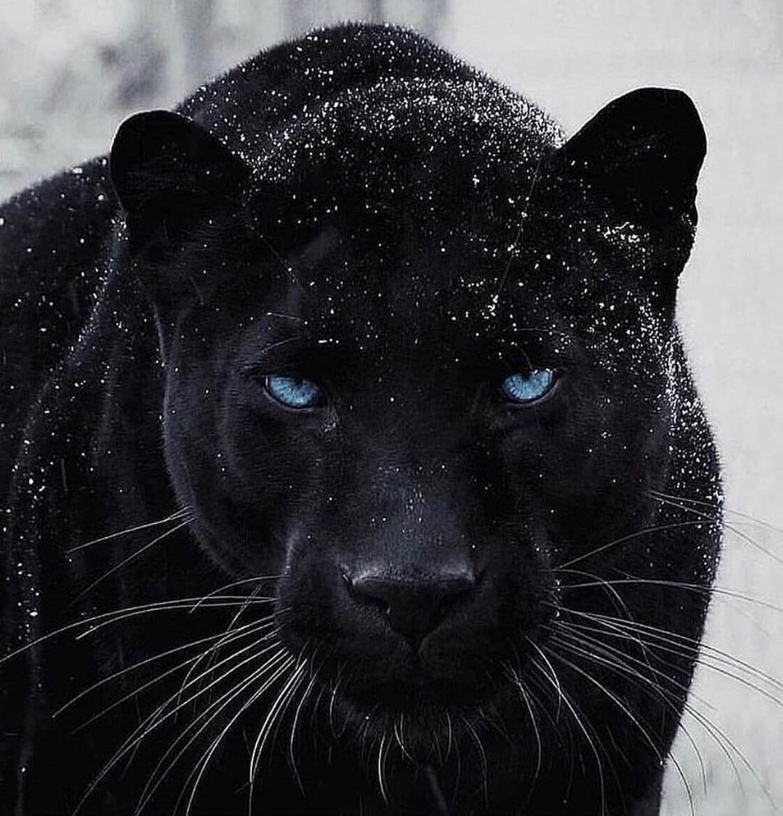 http://reho.st/https://www.firesofheaven.org/attachments/644e69c1-0b04-41dc-8a8a-c5cdd533ab8b-jpeg.221468/