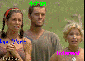 http://reho.st/i.4cdn.org/b/src/1385413580508.gif