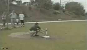 http://reho.st/i.4cdn.org/wsg/1397215289109.gif