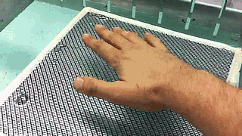 http://reho.st/i.4cdn.org/wsg/1399671341897.gif