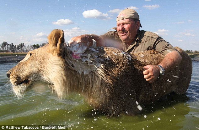 http://reho.st/i.dailymail.co.uk/i/pix/2010/11/04/article-0-0BE86AD5000005DC-258_634x416.jpg