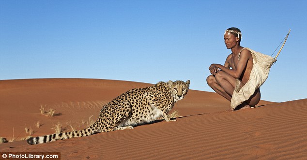 http://reho.st/i.dailymail.co.uk/i/pix/2010/11/11/article-1328911-0C07C02A000005DC-908_634x330.jpg