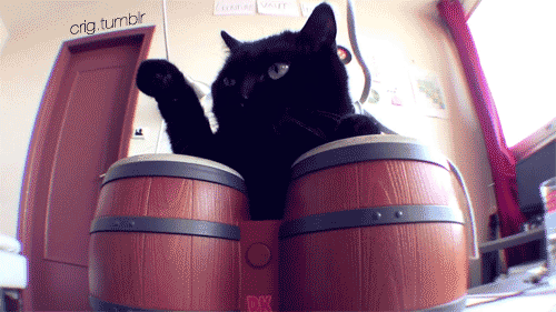 http://reho.st/i.imgur.com/LyjOC.gif