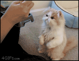 http://reho.st/i.imgur.com/MJVzI.gif