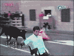 http://reho.st/i.imgur.com/fQWfs.gif