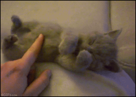 http://reho.st/i.imgur.com/iKy1W.gif
