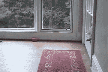 http://reho.st/i.imgur.com/ocDcz.gif