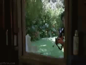 http://reho.st/i.imgur.com/zX0CjzV.gif