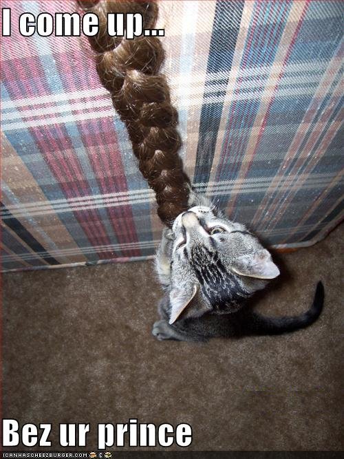 http://reho.st/icanhascheezburger.files.wordpress.com/2009/03/funny-pictures-cat-will-be-your-prince1.jpg