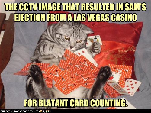 http://reho.st/icanhascheezburger.files.wordpress.com/2010/11/dd5fe1ee-4fe5-4992-8e14-8beda33c407c.jpg
