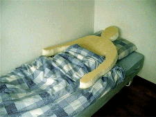 http://reho.st/images.4chan.org/b/src/1376577305029.gif