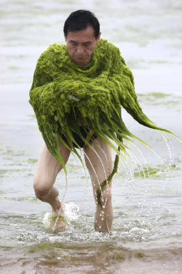 http://reho.st/images.chron.com/photos/2008/07/02/11925049/600xPopupGallery.jpg