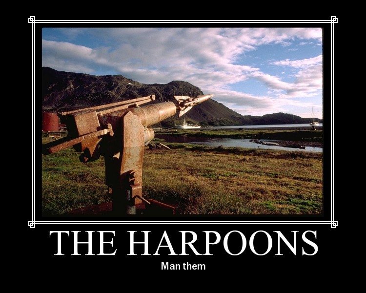 http://reho.st/images.encyclopediadramatica.com/images/1/11/Man_the_Harpoons.jpg