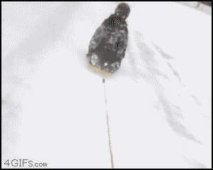 http://reho.st/img.izismile.com/img/img5/20120109/1000/daily_gifdump_79_06.gif