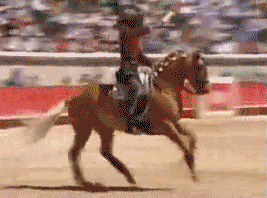 http://reho.st/img11.hostingpics.net/pics/415863corws1.gif