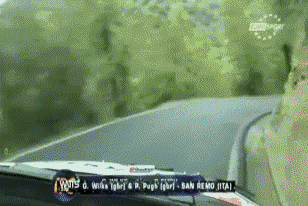 http://reho.st/img11.hostingpics.net/pics/845557crash2.gif