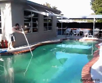 http://reho.st/img12.imageshack.us/img12/4485/sautperchepiscine.gif
