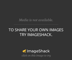 http://reho.st/img145.imageshack.us/img145/4646/33300948.jpg