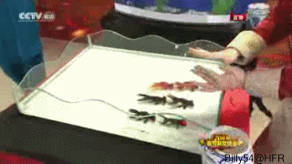 http://reho.st/img197.imageshack.us/img197/1014/tourmagiepoissons.gif