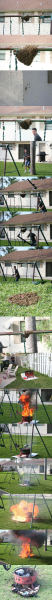 http://reho.st/img253.imageshack.us/img253/7150/burnthebeesht0.jpg