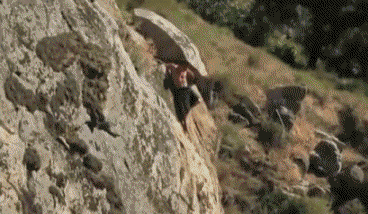 http://reho.st/img4.hostingpics.net/pics/438062chut1.gif