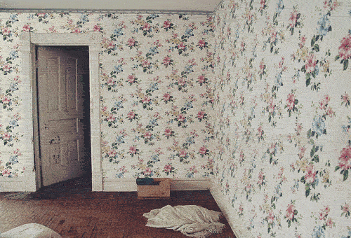 http://reho.st/img4.hostingpics.net/pics/982601tumblrlmoviiIn4c1qb7nmoo1500.gif