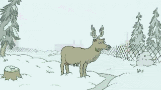 http://reho.st/img714.imageshack.us/img714/879/noelancestral.gif