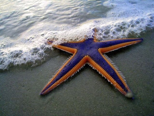http://reho.st/izismile.com/img/img2/20090619/selection_180_86.jpg