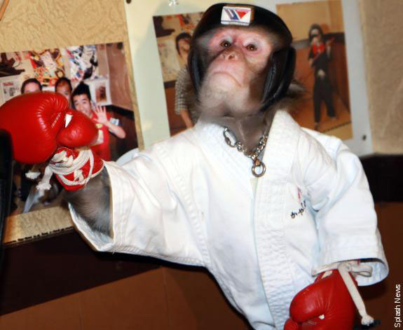 http://reho.st/media.ebaumsworld.com/2008/10/990560/photo03.jpg