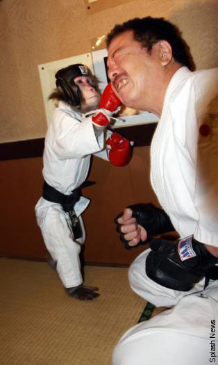 http://reho.st/media.ebaumsworld.com/2008/10/990563/photo06.jpg