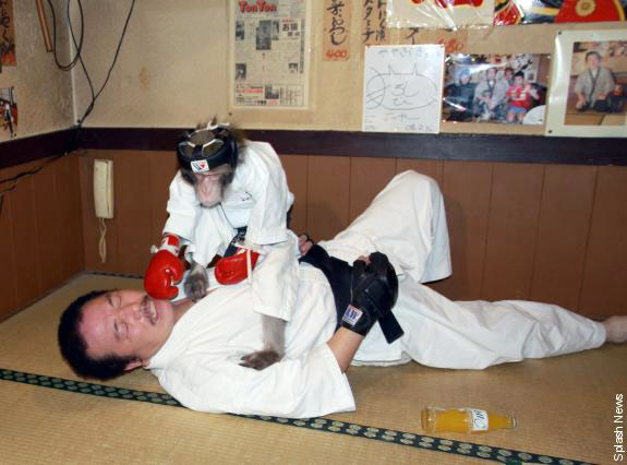 http://reho.st/media.ebaumsworld.com/2008/10/990564/photo07.jpg