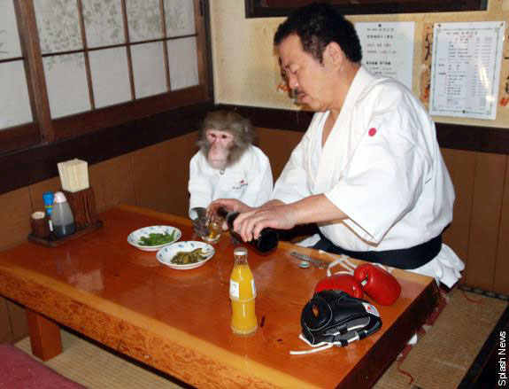 http://reho.st/media.ebaumsworld.com/2008/10/990567/photo09.jpg