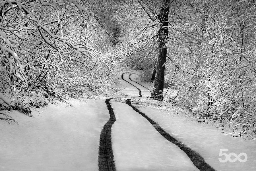 http://reho.st/photos.500px.com/186530/4